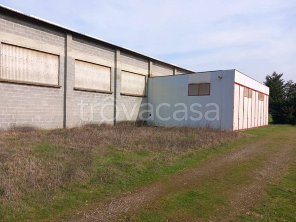 locale commerciale in vendita a Bosco Marengo in zona Quattro Cascine