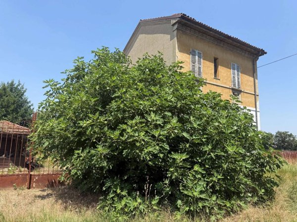 casa indipendente in vendita a Bosco Marengo