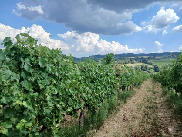 terreno agricolo in vendita a Brignano-Frascata