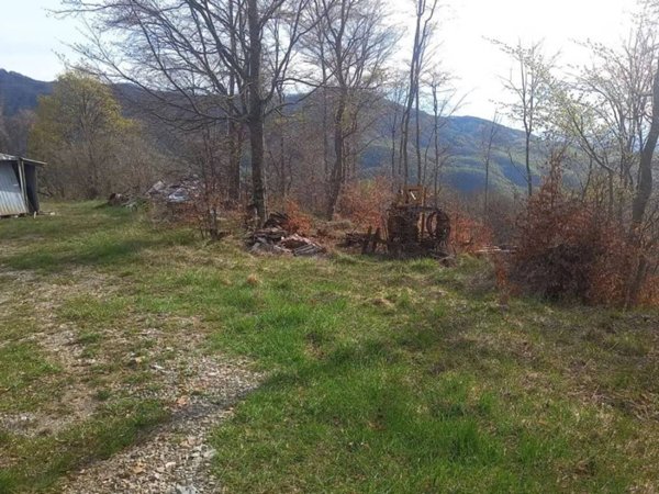 terreno agricolo in vendita a Cabella Ligure