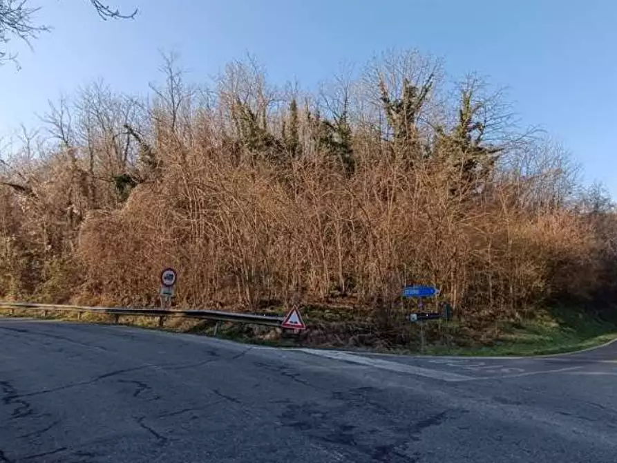 terreno agricolo in vendita a Camino