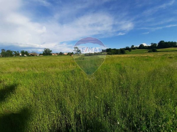 terreno agricolo in vendita a Camino