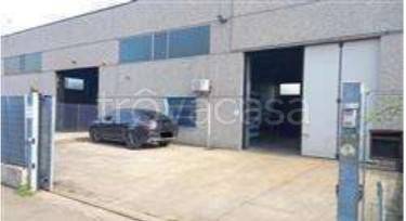 appartamento in vendita a Carbonara Scrivia