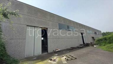 appartamento in vendita a Carbonara Scrivia