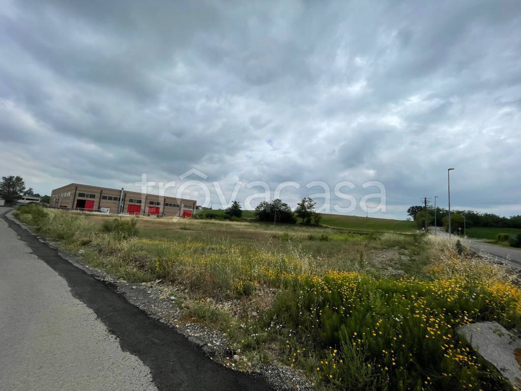 terreno agricolo in vendita a Carbonara Scrivia