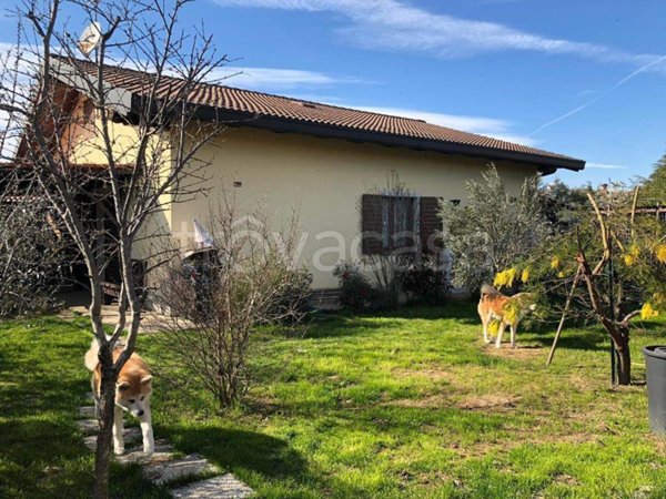 casa indipendente in vendita a Carbonara Scrivia