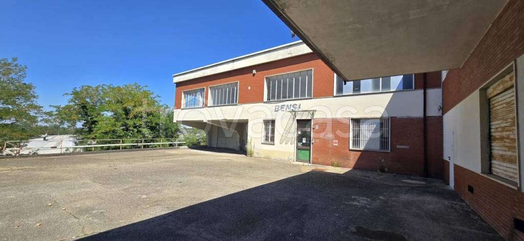 trivano in vendita a Carbonara Scrivia