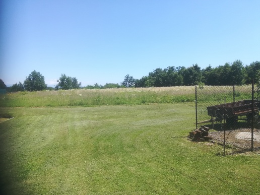 casa indipendente in vendita a Carentino