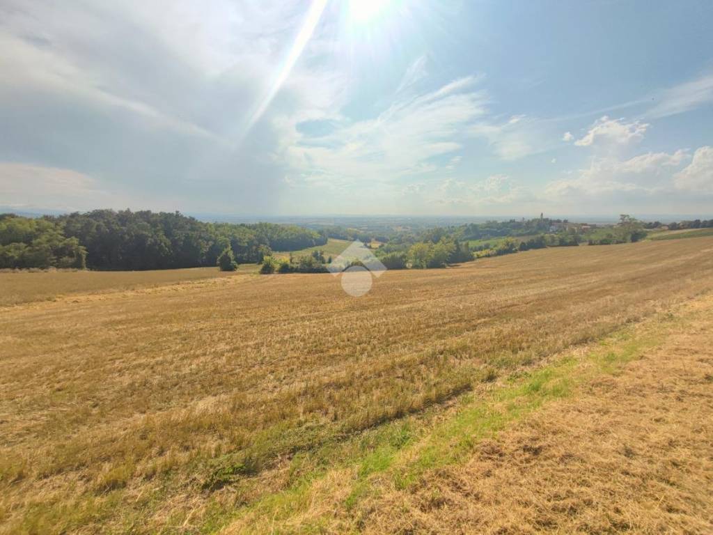 terreno agricolo in vendita a Carezzano