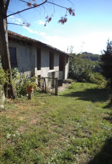 casa indipendente in vendita a Carezzano
