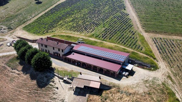 azienda agricola in vendita a Carpeneto