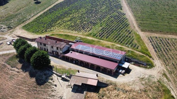 ufficio in vendita a Carpeneto