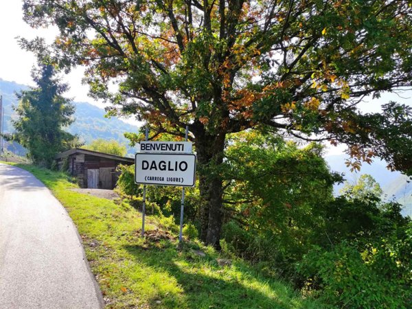 casa indipendente in vendita a Carrega Ligure in zona Daglio