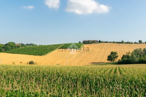 casa indipendente in vendita a Casale Monferrato in zona San Germano