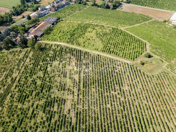 capannone in vendita a Casale Monferrato
