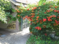 casa indipendente in vendita a Casale Monferrato