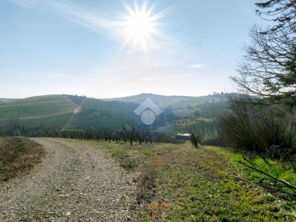 casa indipendente in vendita a Casale Monferrato in zona Vialarda