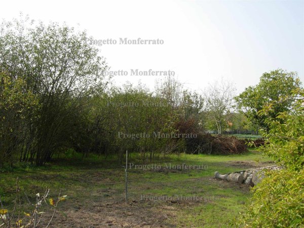 casa indipendente in vendita a Casale Monferrato