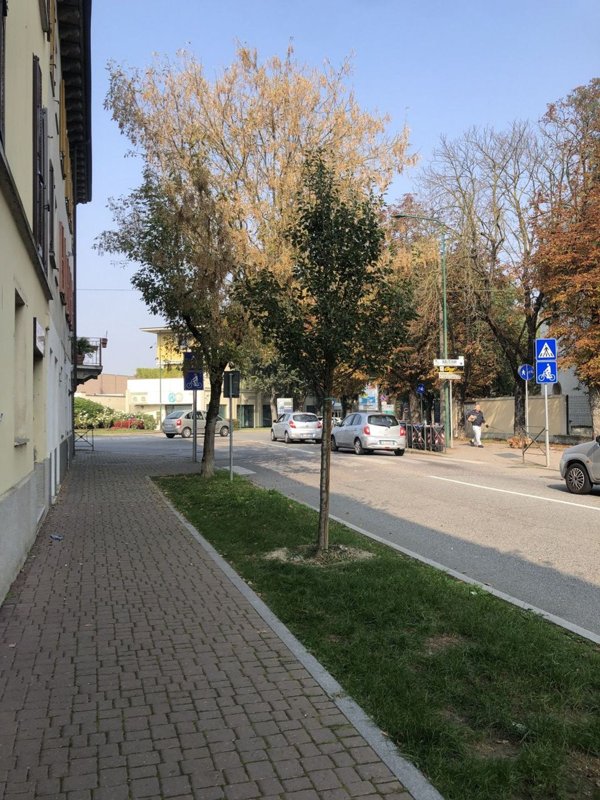 casa indipendente in vendita a Casale Monferrato