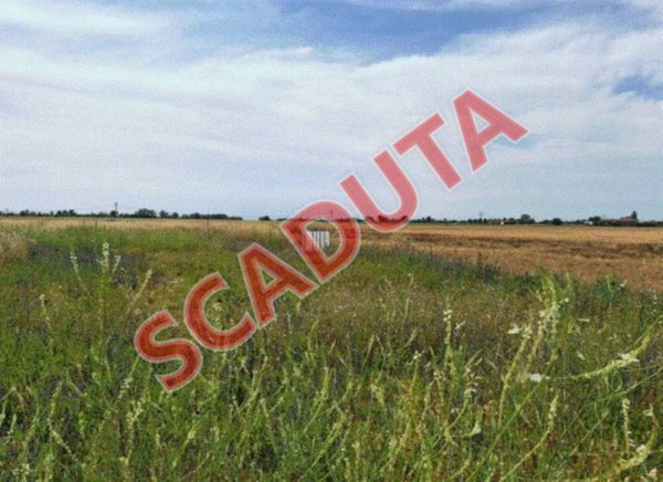 terreno agricolo in vendita a Casalnoceto