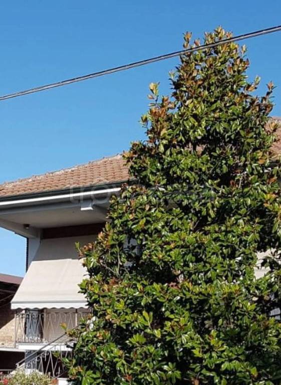 casa indipendente in vendita a Casalnoceto