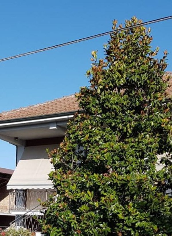 casa indipendente in vendita a Casalnoceto