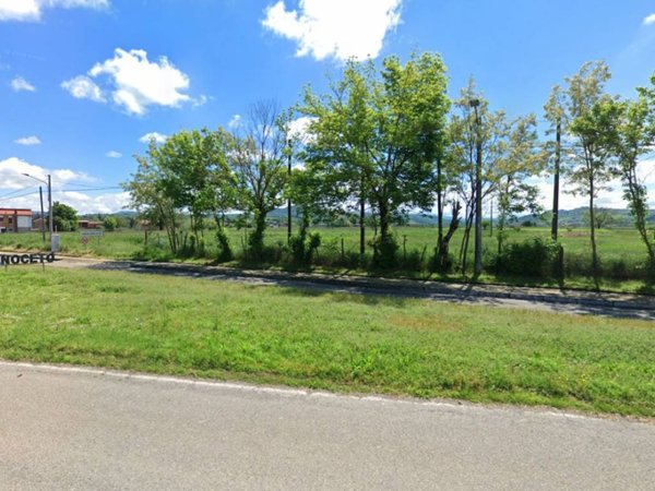 terreno agricolo in vendita a Casalnoceto