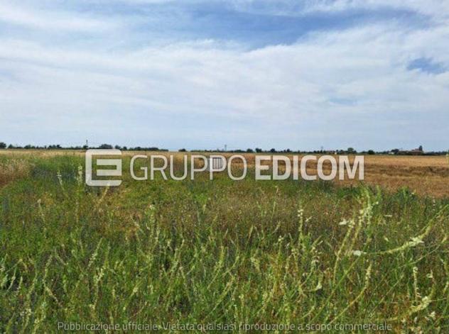 terreno agricolo in vendita a Casalnoceto