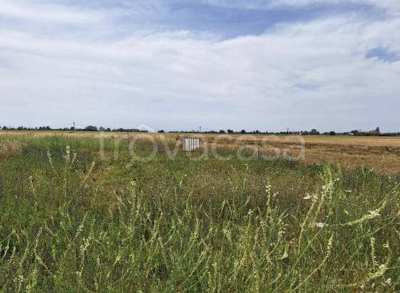 ufficio in vendita a Casalnoceto