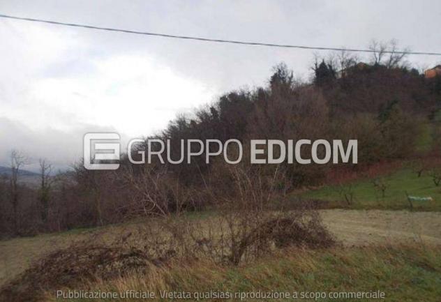 terreno agricolo in vendita a Casasco