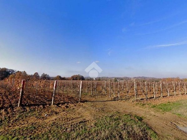 terreno agricolo in vendita a Cassine in zona Sant'Andrea