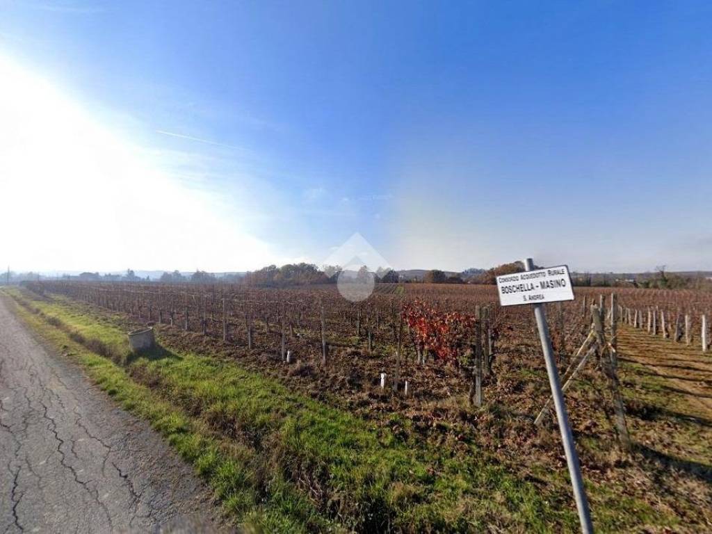 terreno agricolo in vendita a Cassine in zona Sant'Andrea
