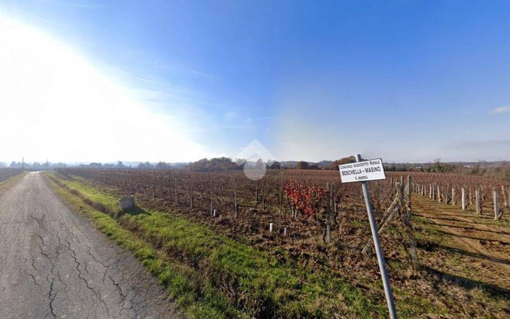 terreno agricolo in vendita a Cassine in zona Sant'Andrea