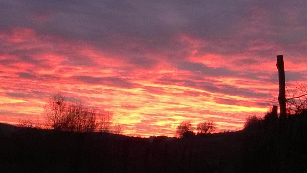 casa indipendente in vendita a Cassine