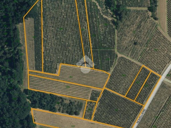 terreno agricolo in vendita a Cassine in zona Sant'Andrea