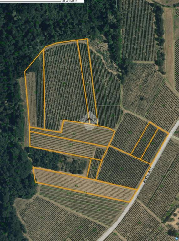 immagine annuncio 0 di 4