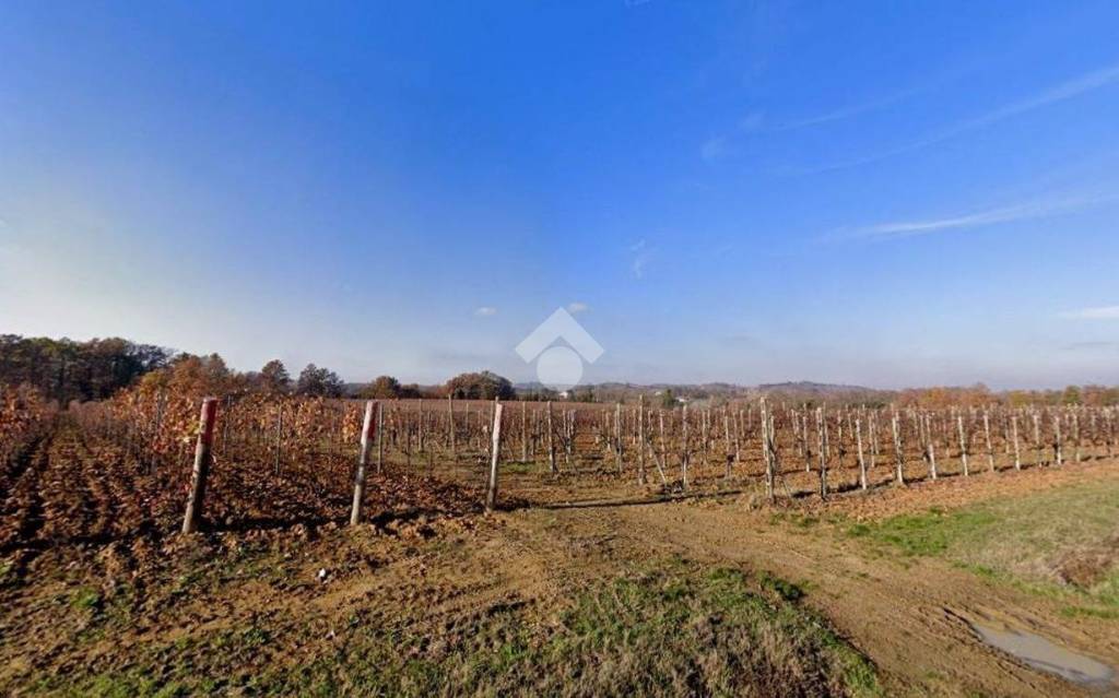 terreno agricolo in vendita a Cassine in zona Sant'Andrea