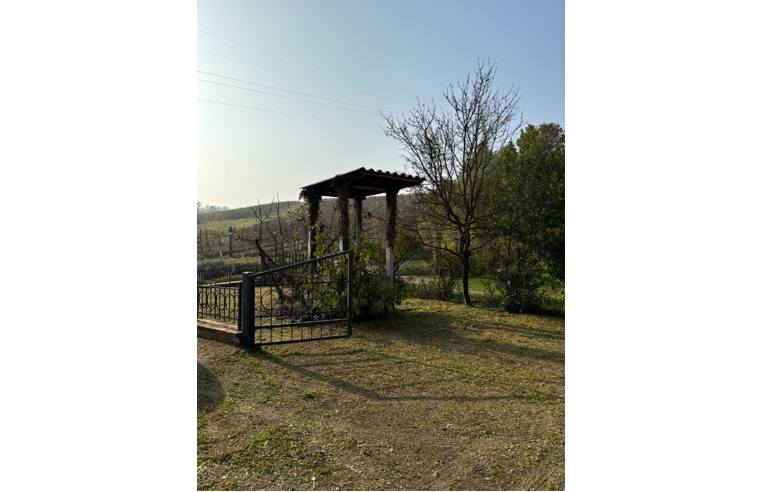 casa indipendente in vendita a Cassine in zona Gavonata