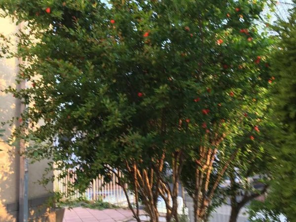 appartamento in vendita a Cassine