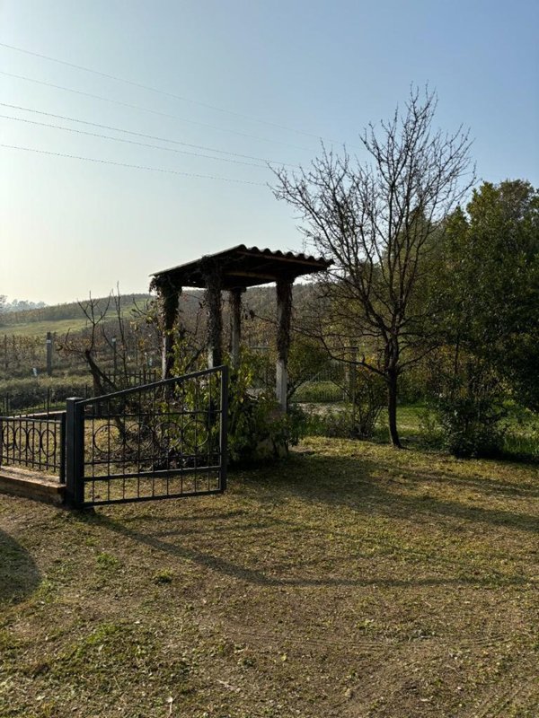 casa indipendente in vendita a Cassine in zona Gavonata