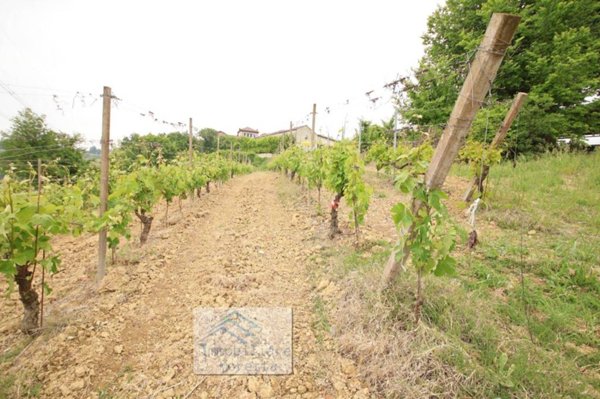 terreno agricolo in vendita a Castellania Coppi