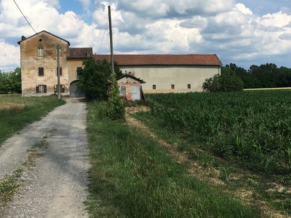 immagine annuncio 0 di 1