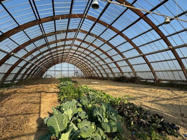casa indipendente in vendita a Castellazzo Bormida