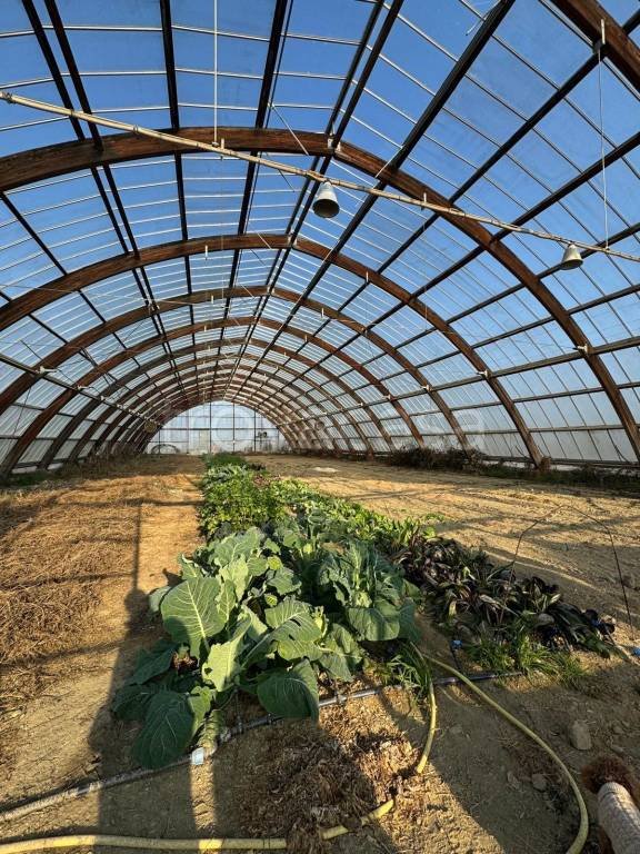 casa indipendente in vendita a Castellazzo Bormida