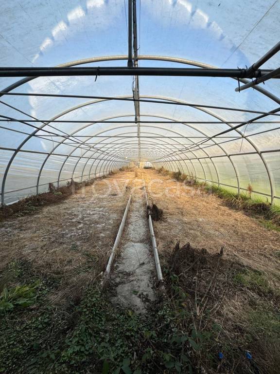 terreno agricolo in vendita a Castellazzo Bormida