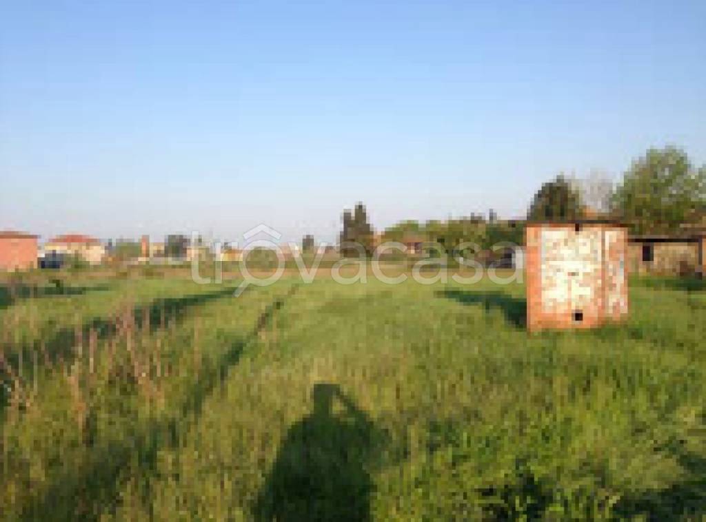 terreno agricolo in vendita a Castellazzo Bormida