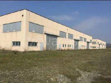 locale commerciale in vendita a Castelletto d'Orba