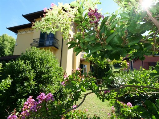 casa indipendente in vendita a Castelletto d'Orba