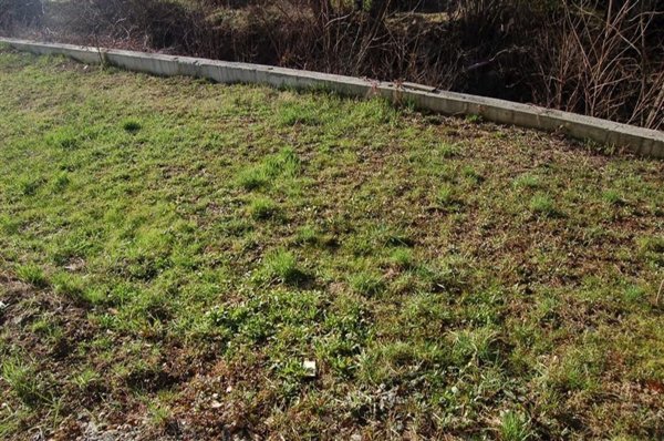 casa indipendente in vendita a Castelletto d'Orba