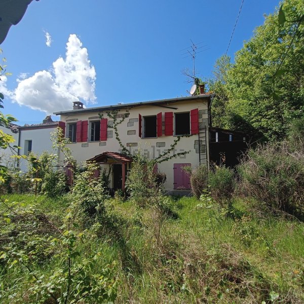pentavano in vendita a Castelletto Merli